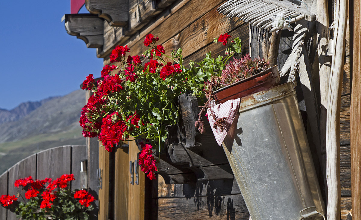 Romantik auf der Alm